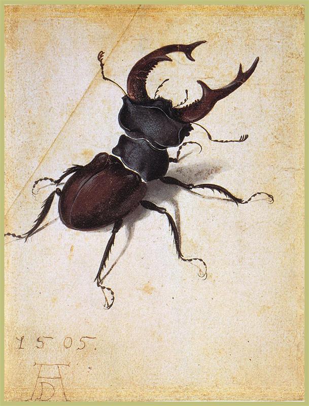 Albrecht+Durer-1471-1528 (29).jpg
